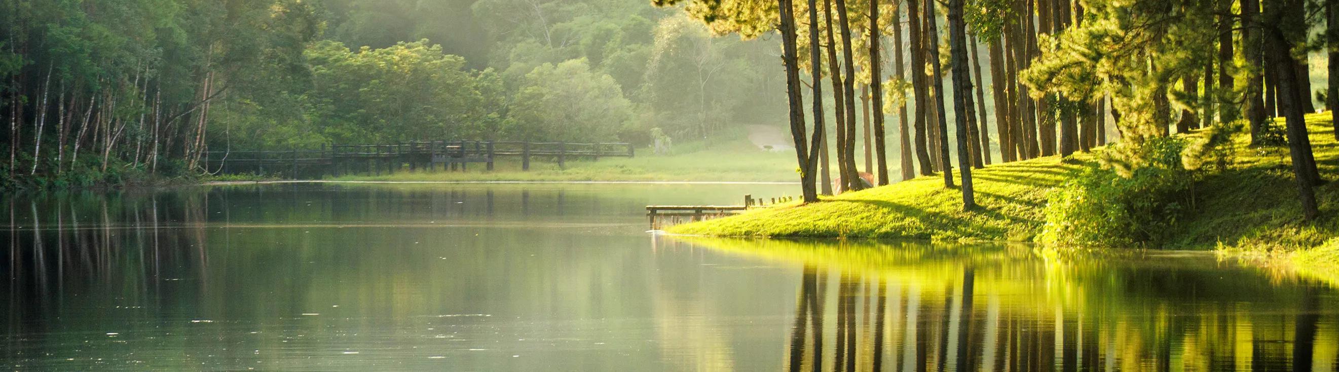 Drelizabeth Blackburn